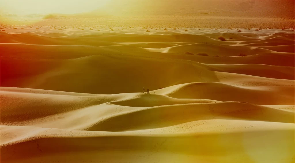 desert sand dunes sunlight landscape