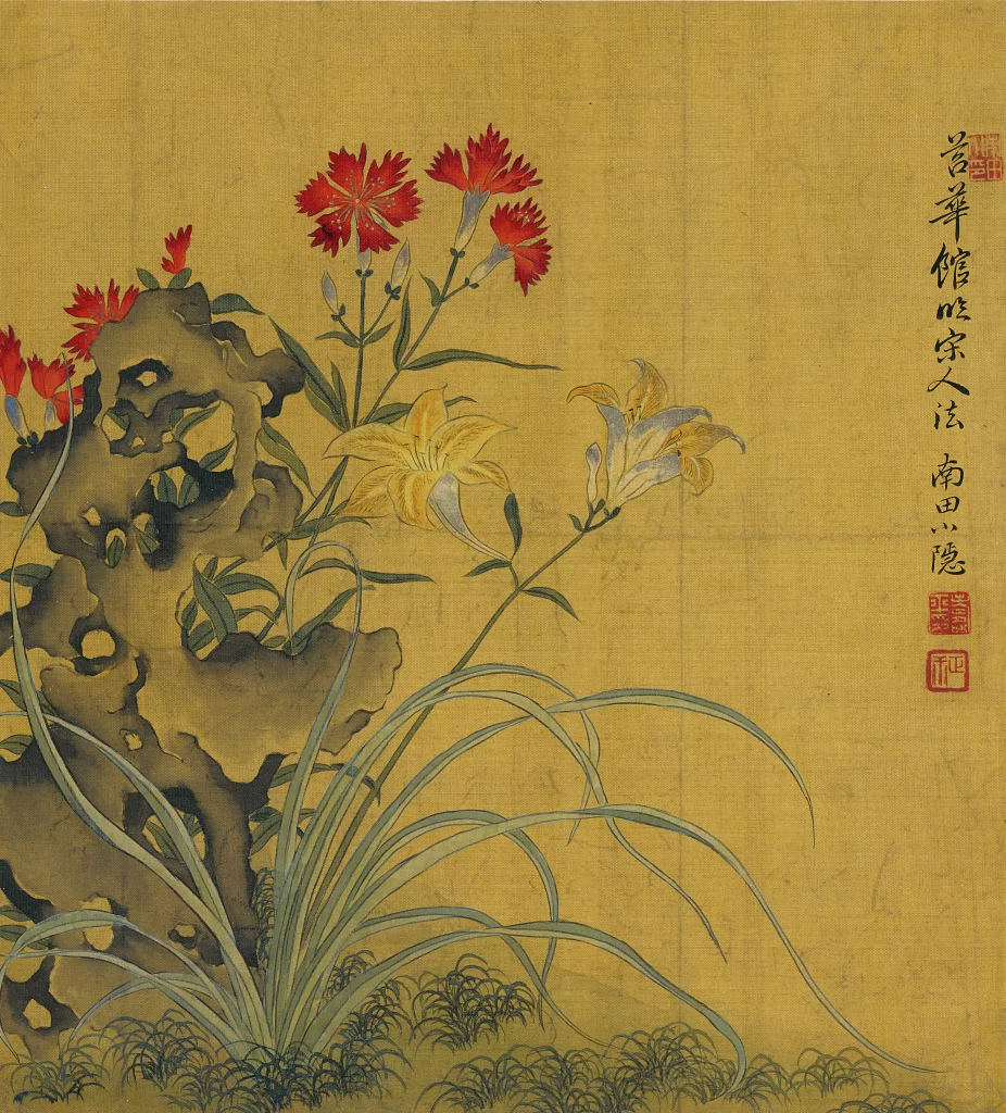 Dianthus Lily Rock Yun Shouping