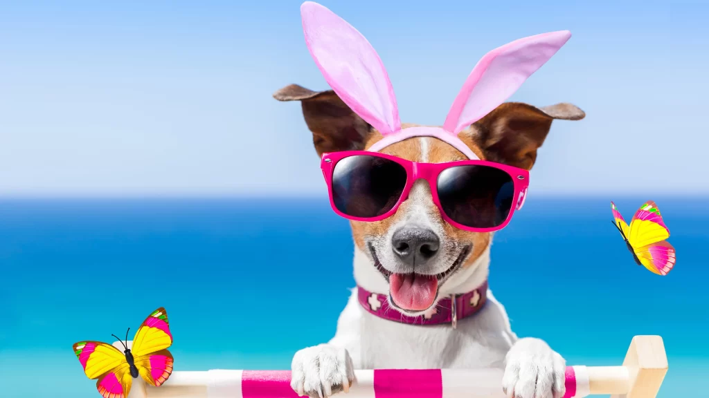 Dog Sunglasses Pink Ears Butterflies