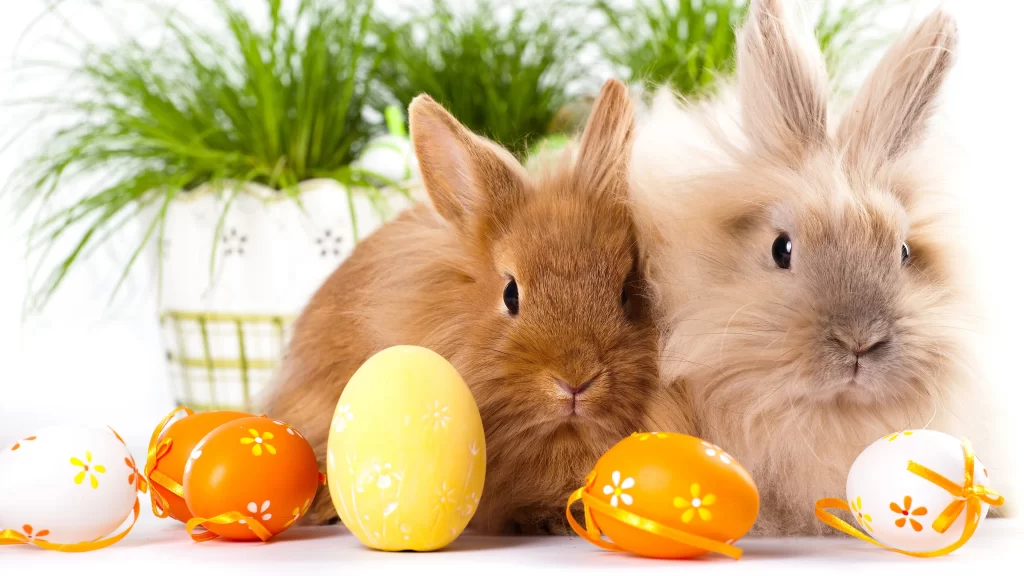 Easter Eggs Rabbits Greenery