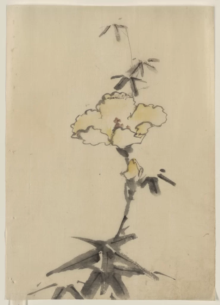 Flower Petals Yellow Leaves Branches Delicate