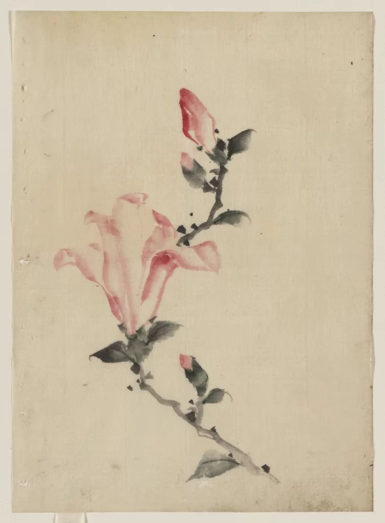 Flower Pink Petal Bloom Branch Green Leaf