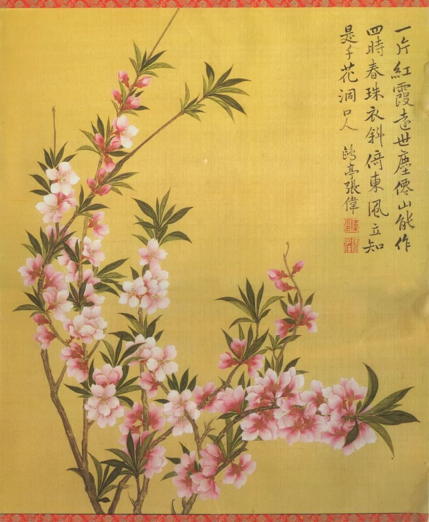 Flowers Blossom Branches Nature Zhang Wei