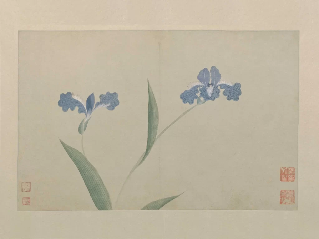 Flowers color serene elegant Wen Shu
