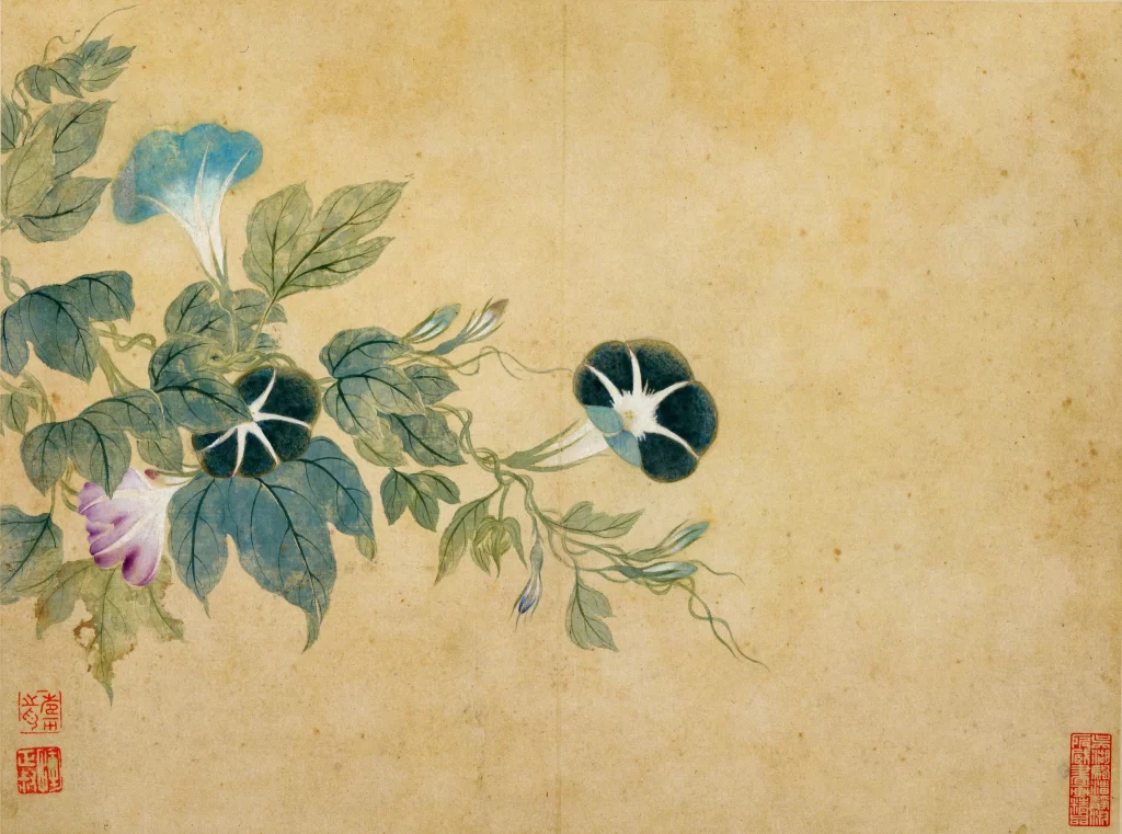 flowers color tranquil elegant Hua Yan