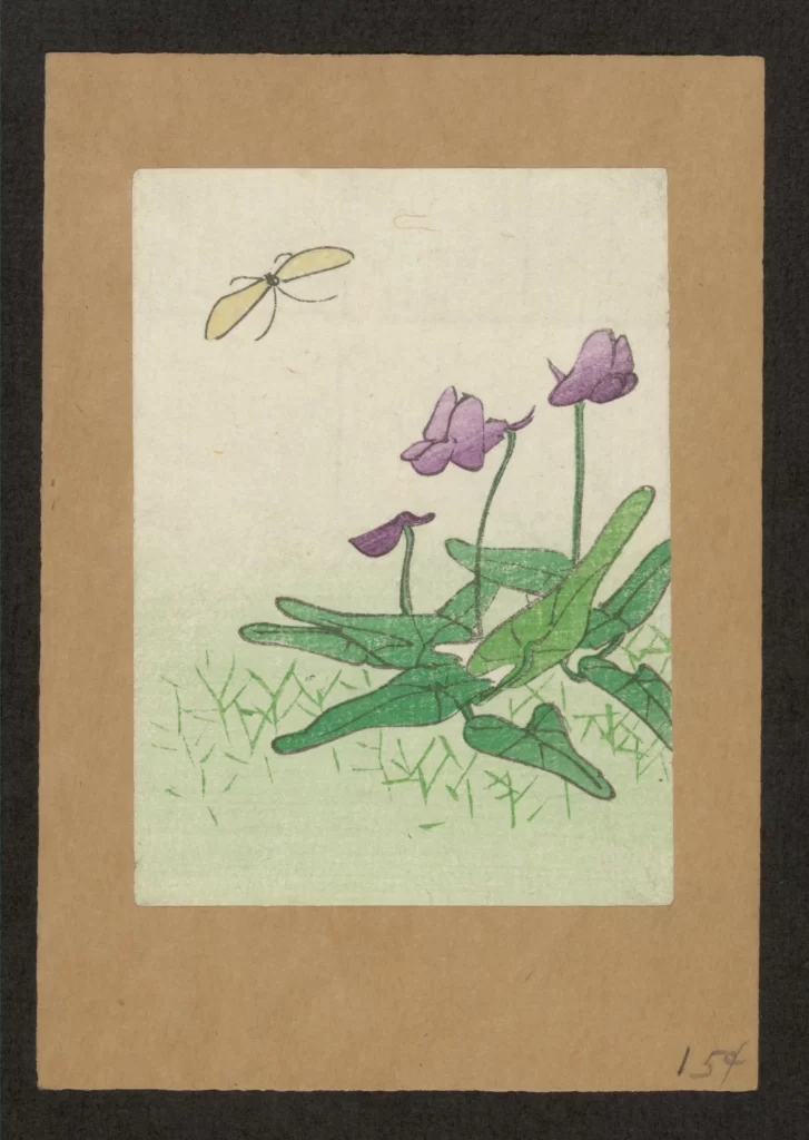 Flowers Green Leaves Purple Petals Yellow Insect Minimalist Style