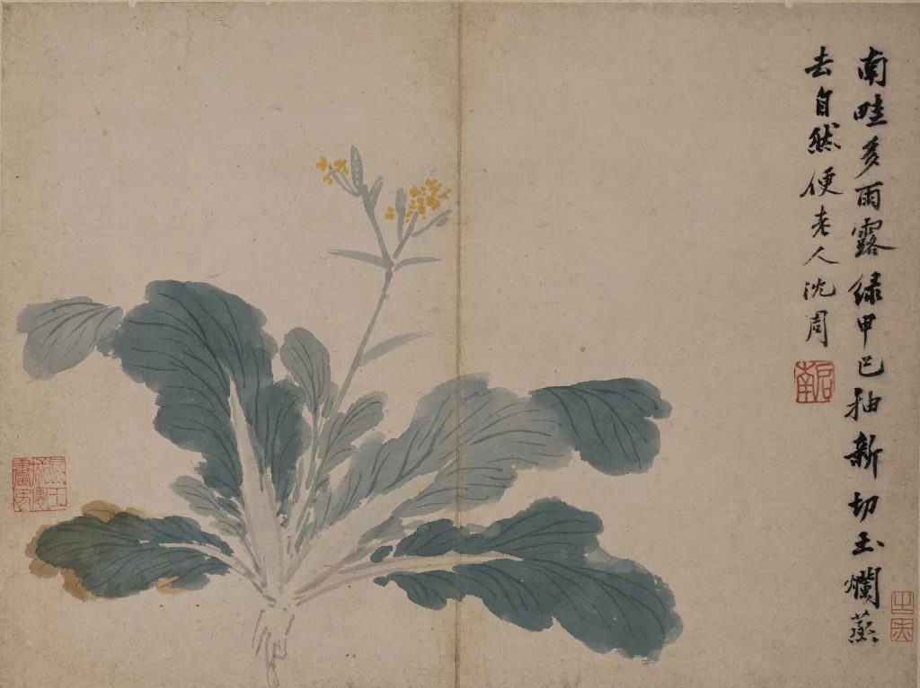 flowers ink wash serene Shen Zhou