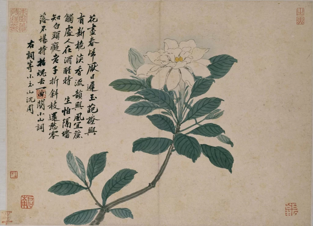 Flowers ink wash tranquil elegant Shen Zhou