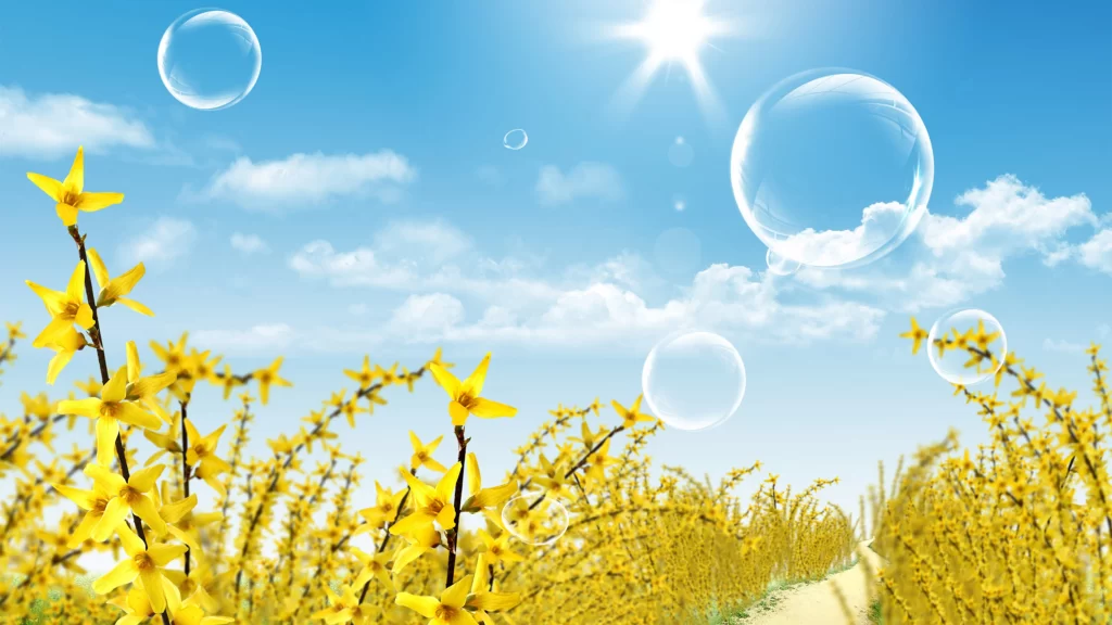flowers sky bubbles sun clouds path