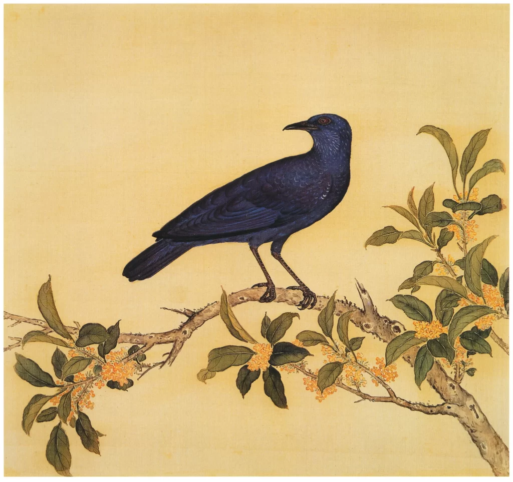Flycatcher Insect Branch Leaves Yu Sheng