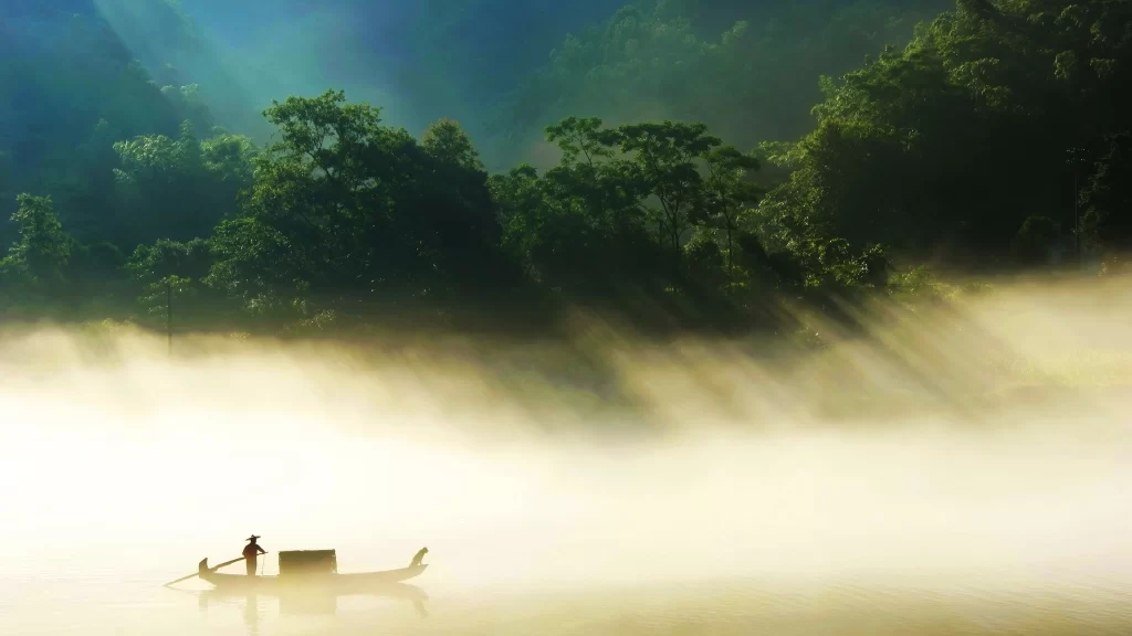 fog boat person trees mist sunlight calm nature
