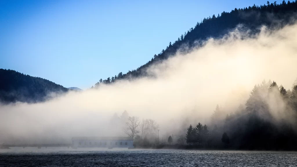fog mountains trees lake mist landscape