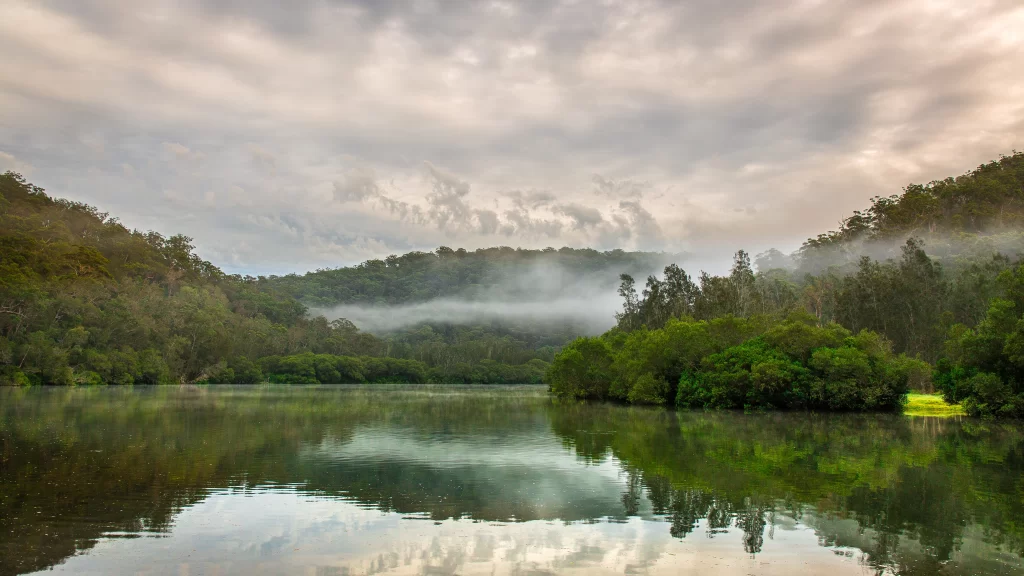 foggy lake nature trees mist clouds
