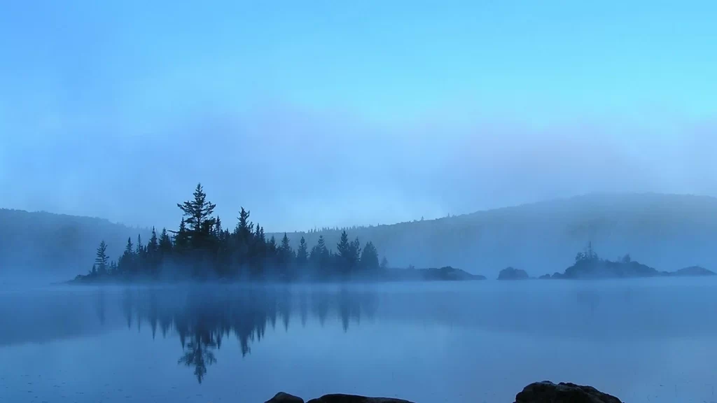 foggy lake trees reflection mist tranquil