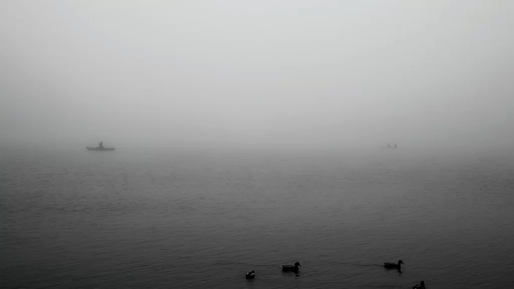 foggy water ducks boat mist serene