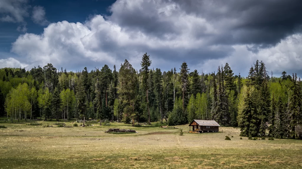 Forest Cabin Clouds Trees Sky Grass