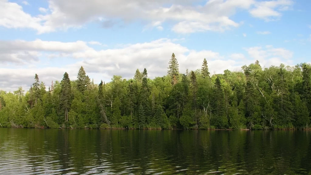 forest lake trees sky clouds nature
