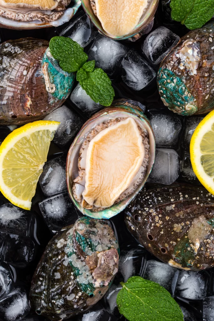 Fresh Abalone Brown Shell Ice Lemon Mint