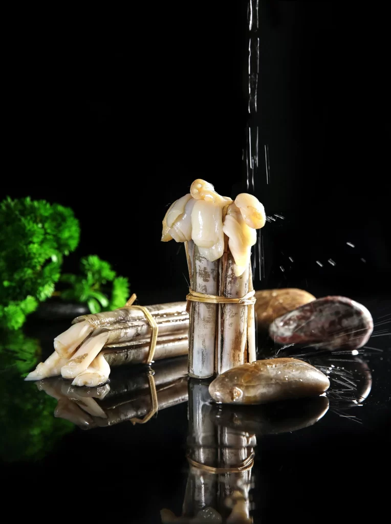Fresh Clams White Shell Black Background