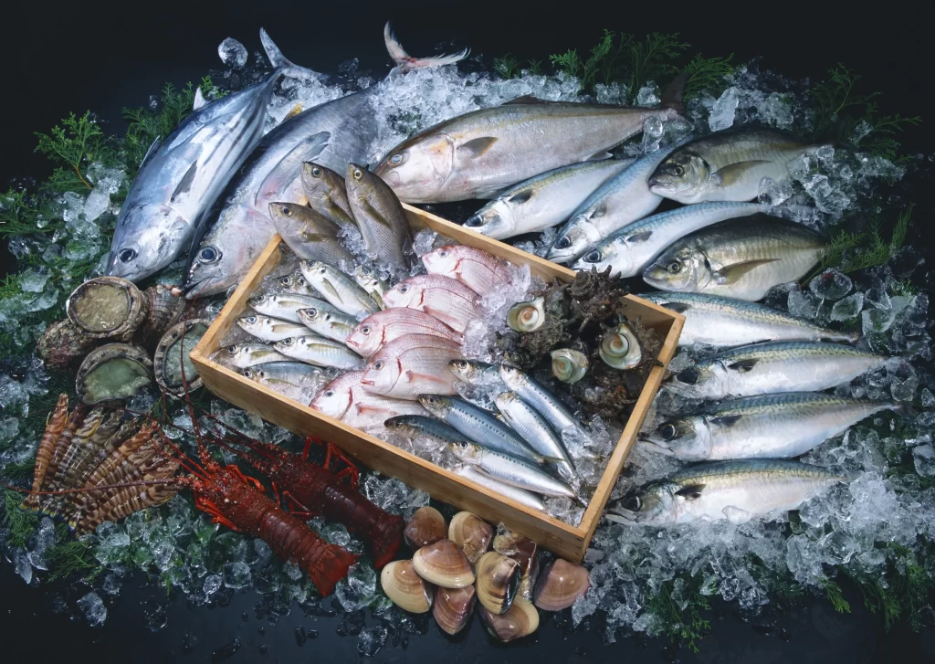 Fresh Fish Assorted Colorful Ice