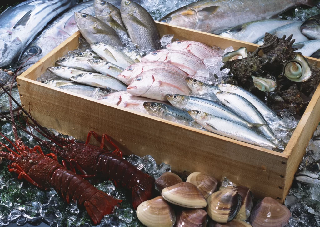 Fresh Fish Assorted Colorful Seafood