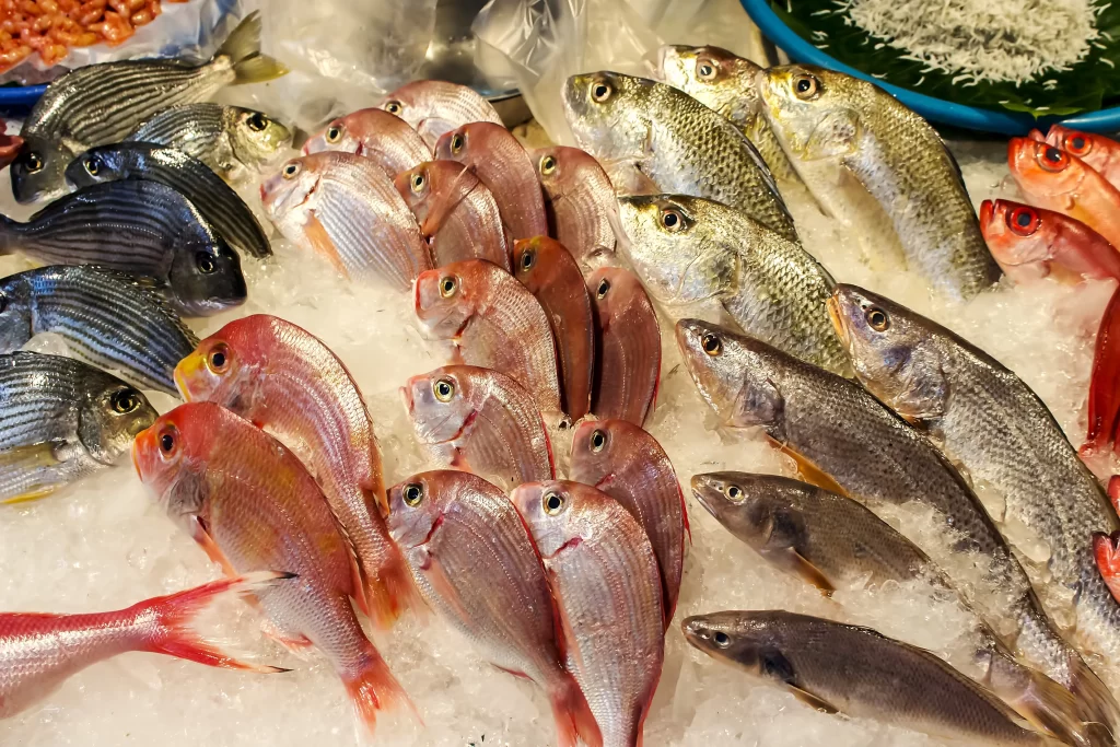 Fresh Fish Assorted Colors Ice Display