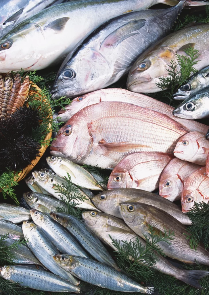 Fresh Fish Assorted Colors Seafood Display