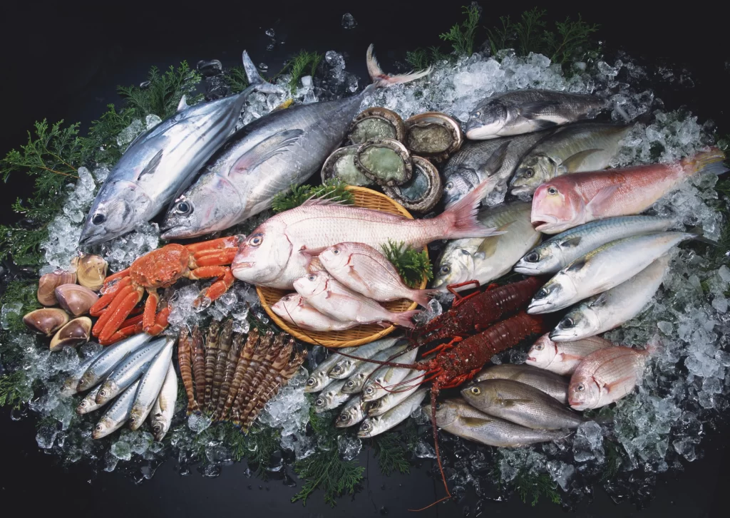 Fresh Fish Assorted Seafood Ice Crisp Colorful