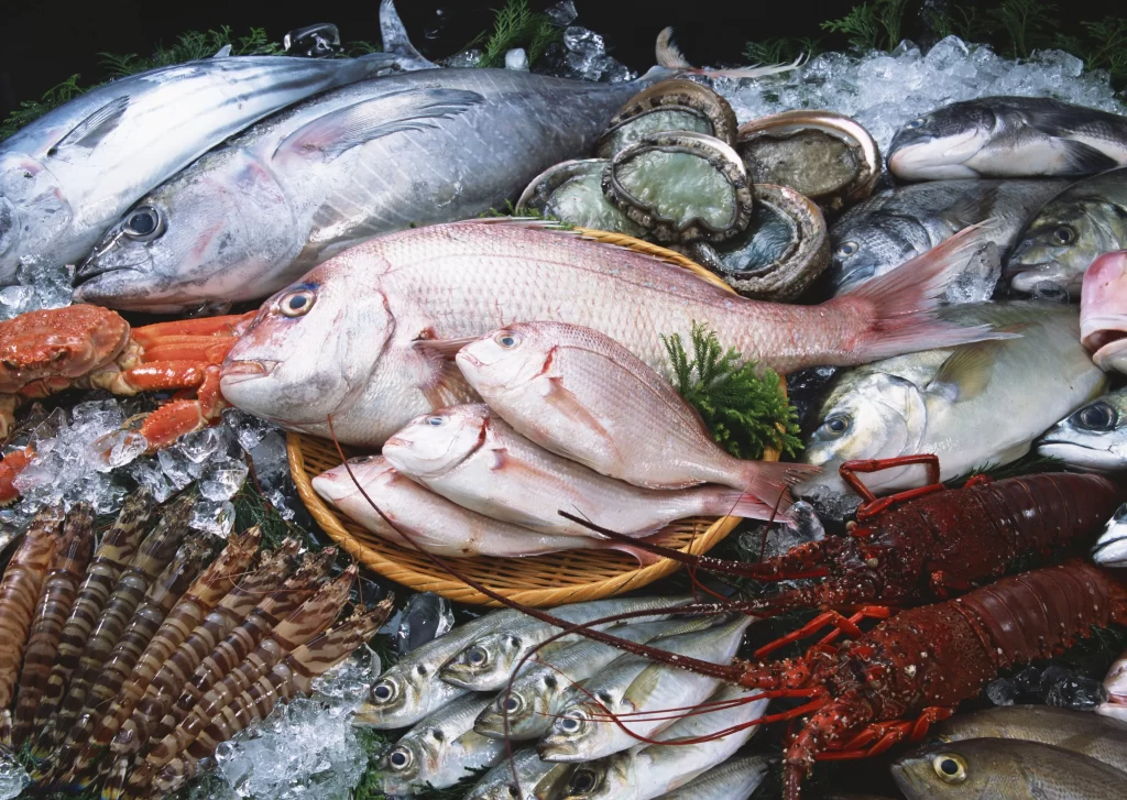 Fresh Fish Assorted Seafood White Background