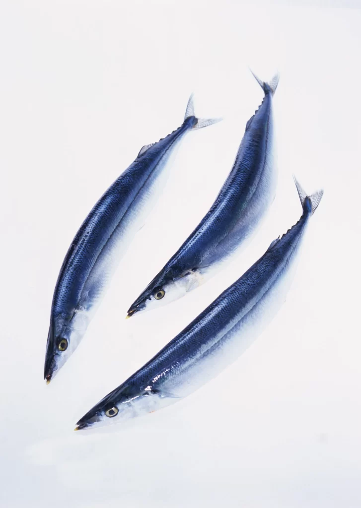 Fresh Fish Blue Color White Background