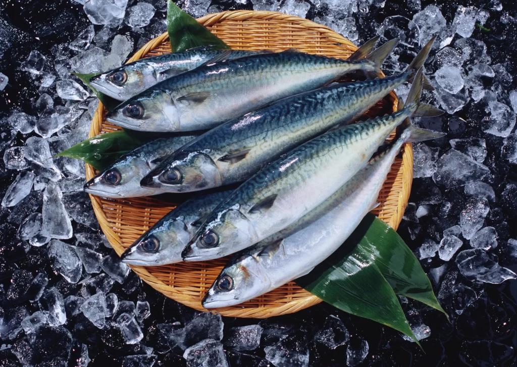 Fresh Fish Blue Green Color Ice Crystals