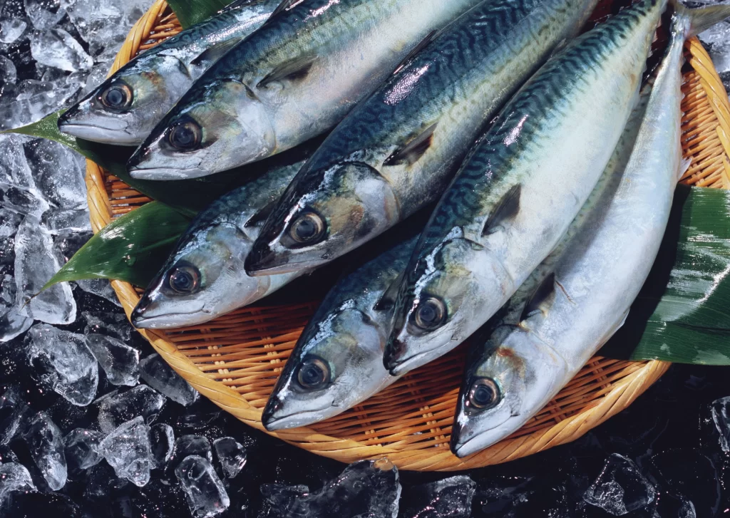 Fresh Fish Blue Silver Ice Crisp