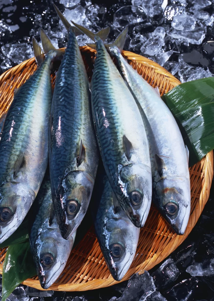 Fresh Fish Blue Skin Green Leaves