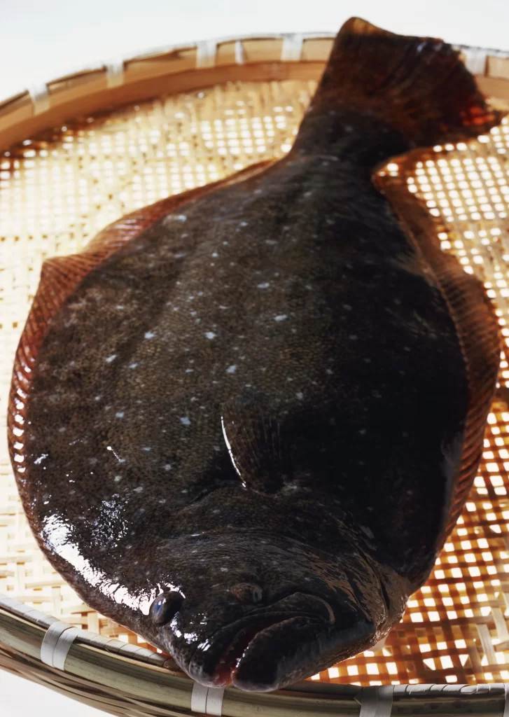 Fresh Fish Brown Spotted Texture