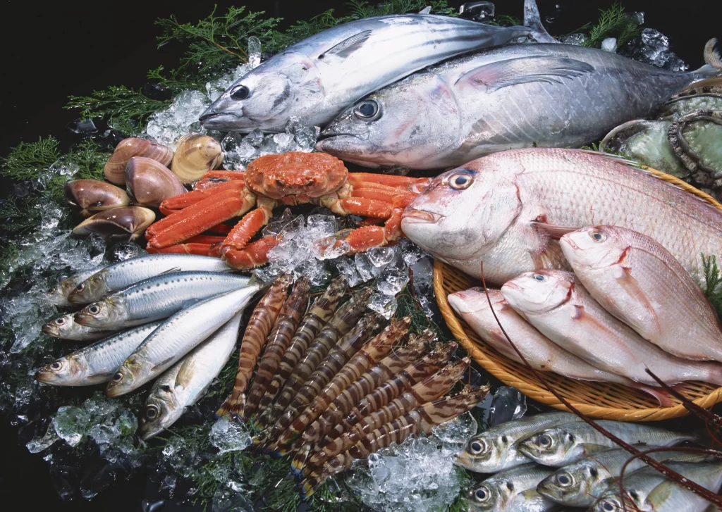 Fresh Fish Crisp Ice Colorful Seafood