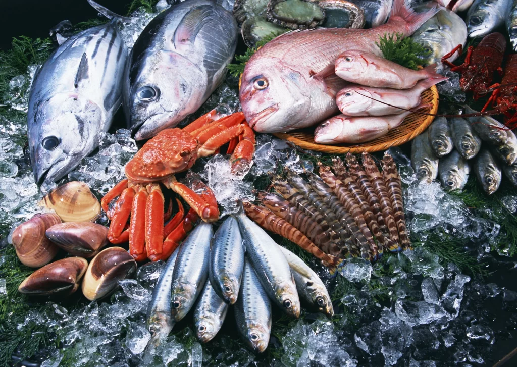 Fresh Fish Crisp Ice Colorful Seafood Variety