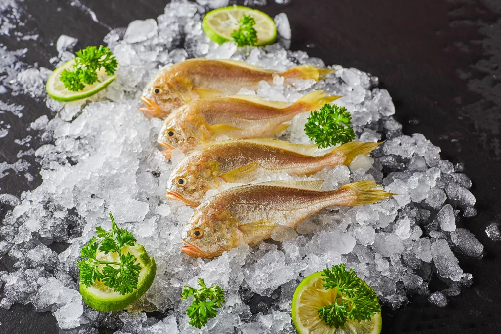 Fresh Fish Ice Crystals Green Garnish