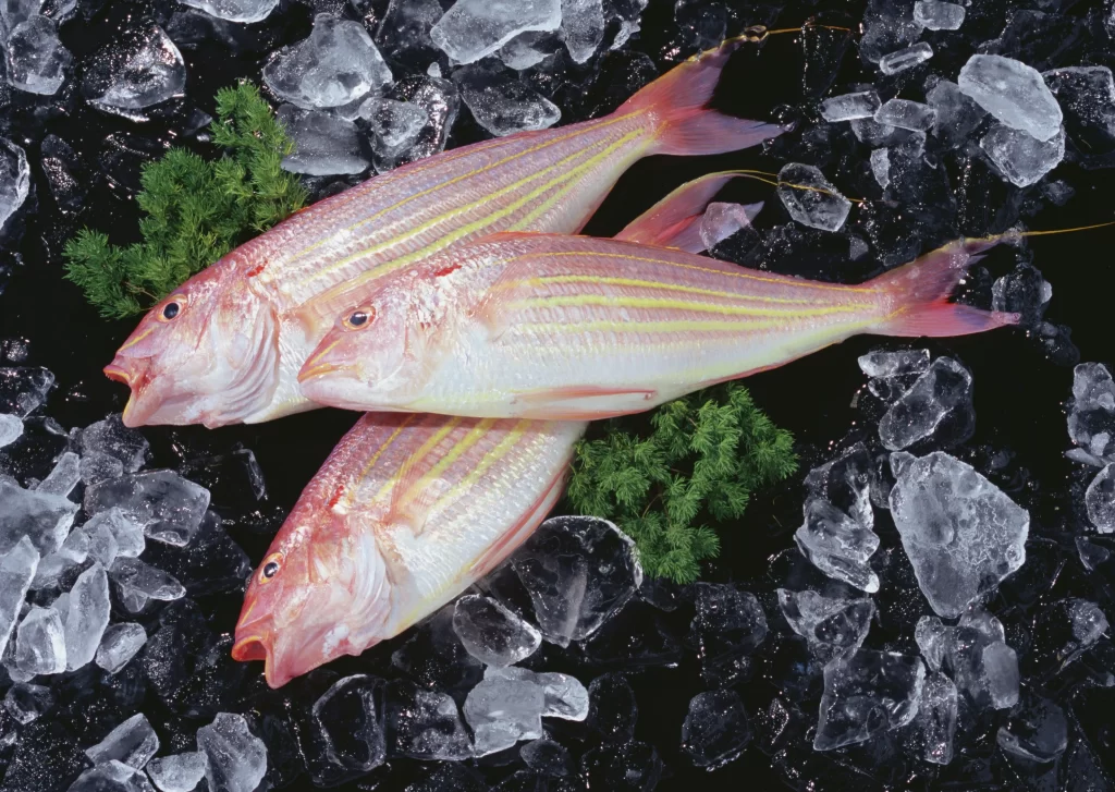 Fresh Fish Pink Color Ice Crystals Green Herbs