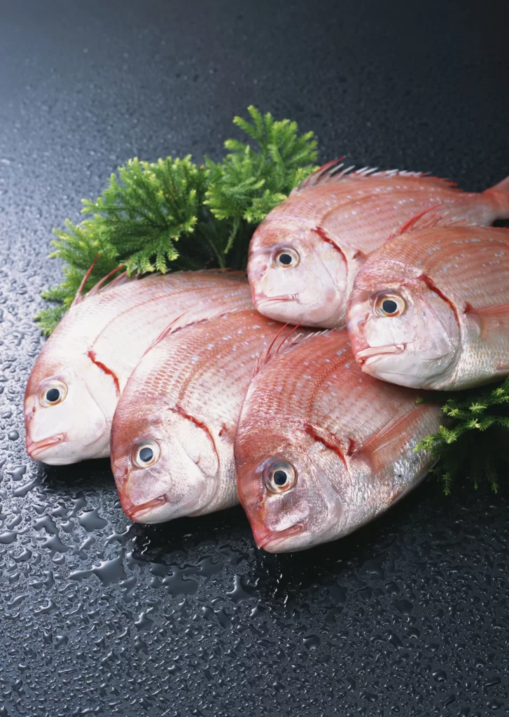 Fresh Fish Red Color Green Herbs
