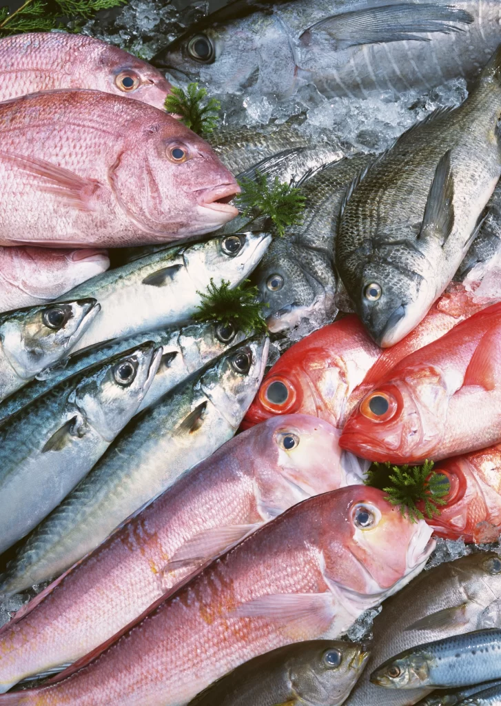 Fresh Fish Red Silver Color Ice