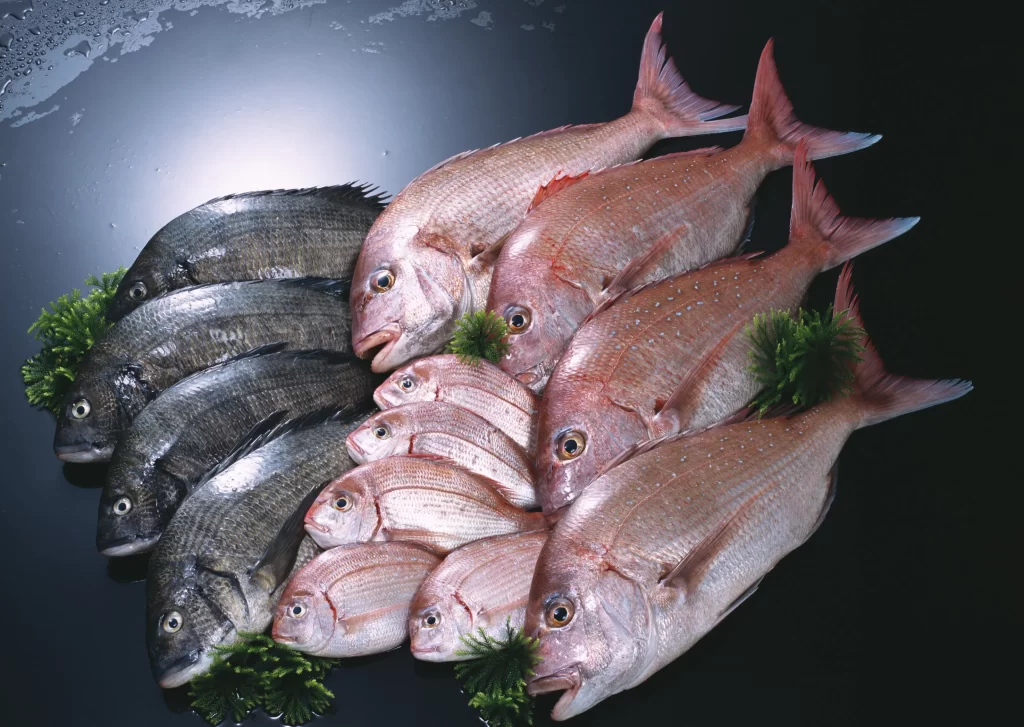 Fresh Fish Reddish-pink Color Green Garnish