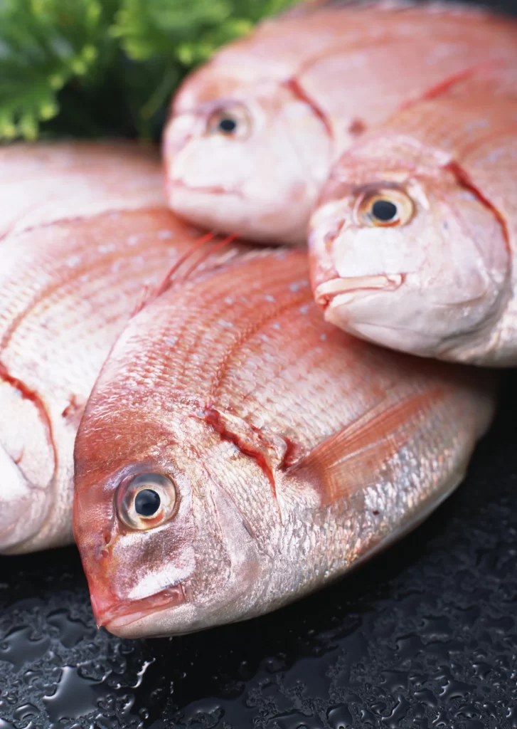 Fresh Fish Reddish-pink Color Scaled Surface