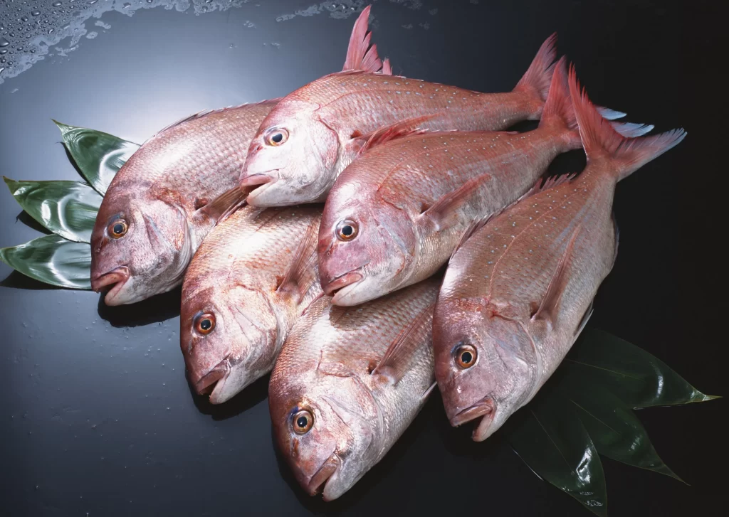 Fresh Fish Reddish-pink Color Whole