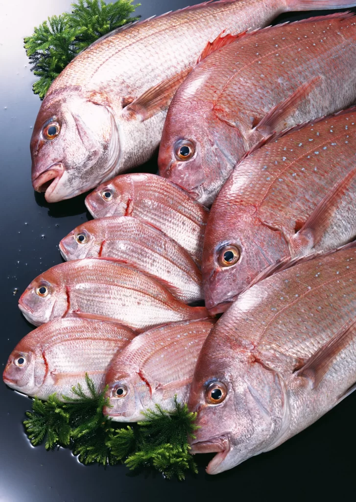 Fresh Fish Reddish-pink Color Whole