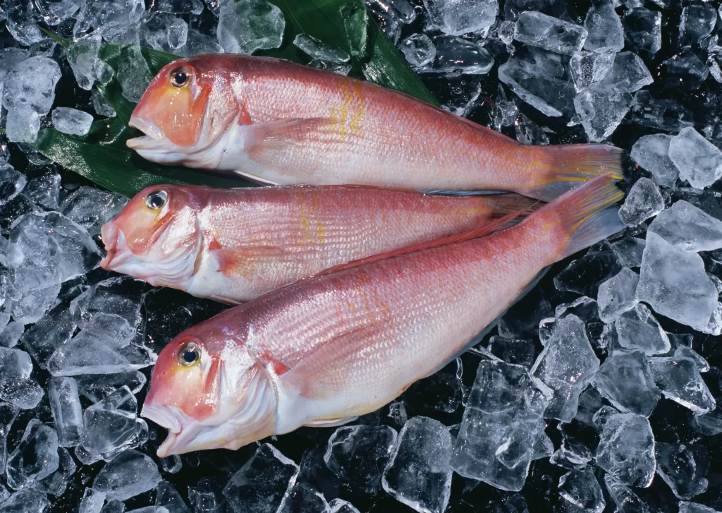 Fresh Fish Reddish-pink Ice Crystals