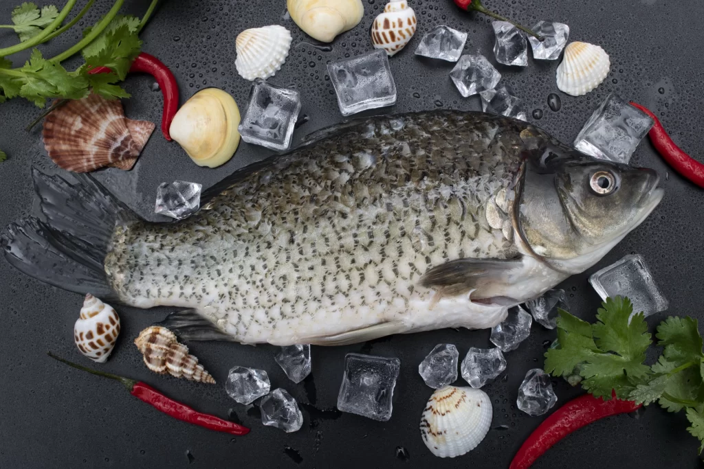 Fresh Fish Sea Shells Ice Cubes Red Chilies Green Herbs