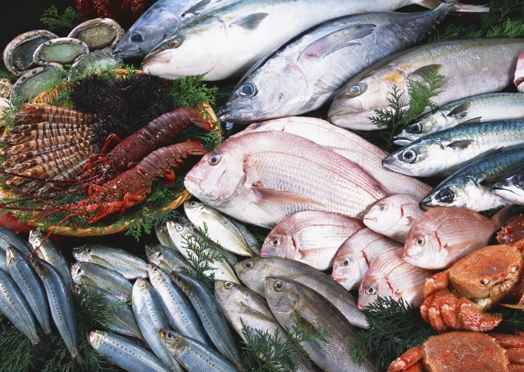 Fresh Fish Seafood Variety Colorful Display