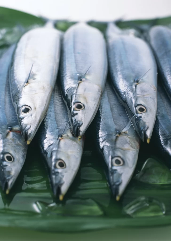 Fresh Fish Silver Color Green Leaf
