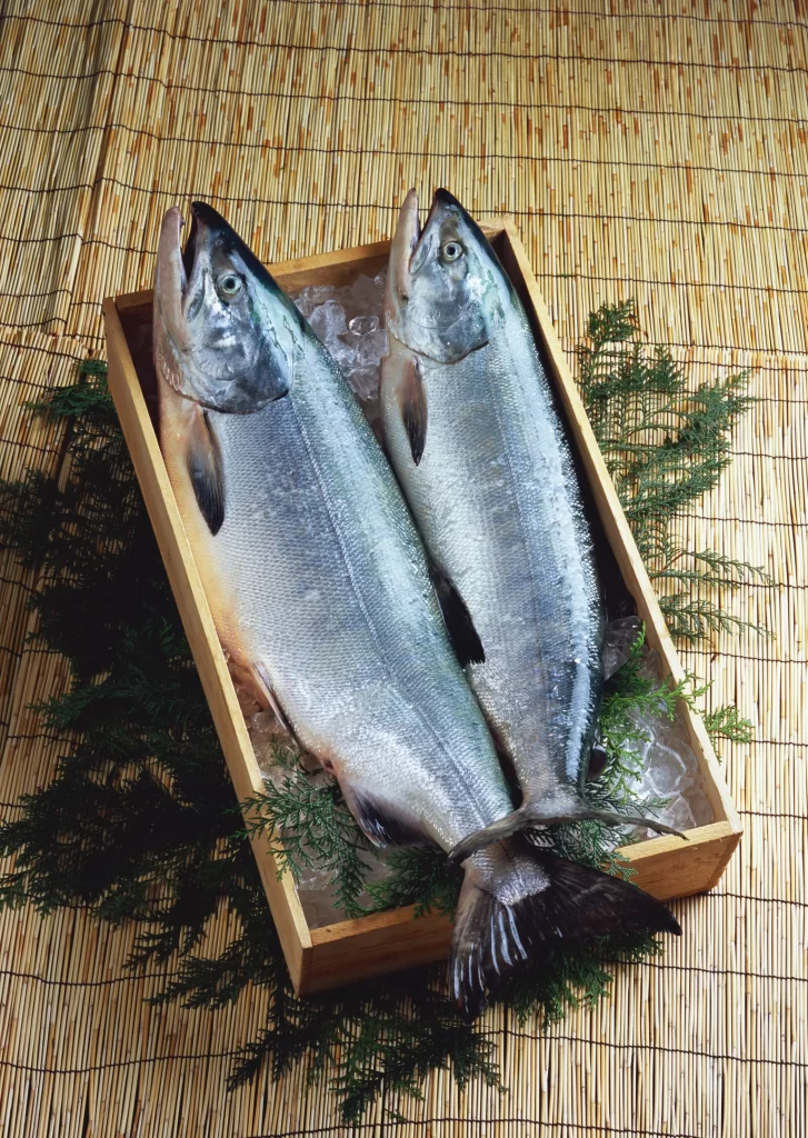 Fresh Fish Silver Color Ice Crystals Green Herbs