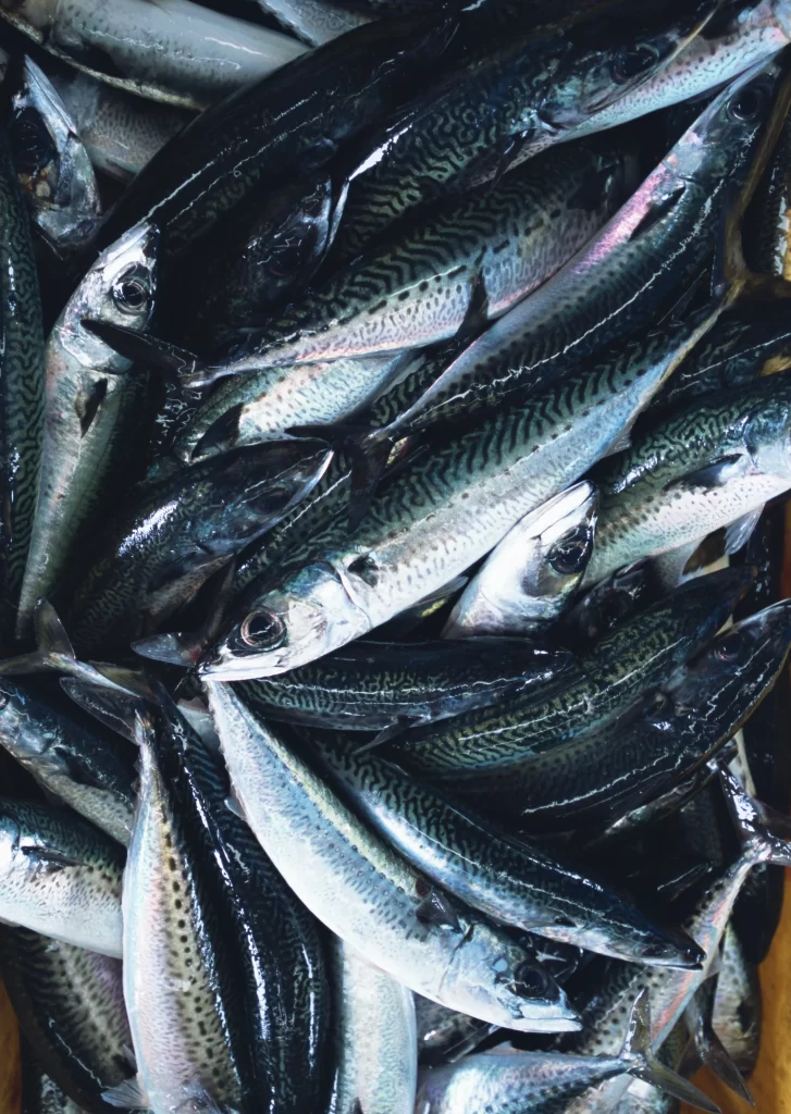 Fresh Fish Silver Color Patterned Skin